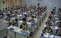 鹬 在线观看,自然奇观与生命启示的视觉盛宴 第2张 鹬 在线观看,自然奇观与生命启示的视觉盛宴 第2张